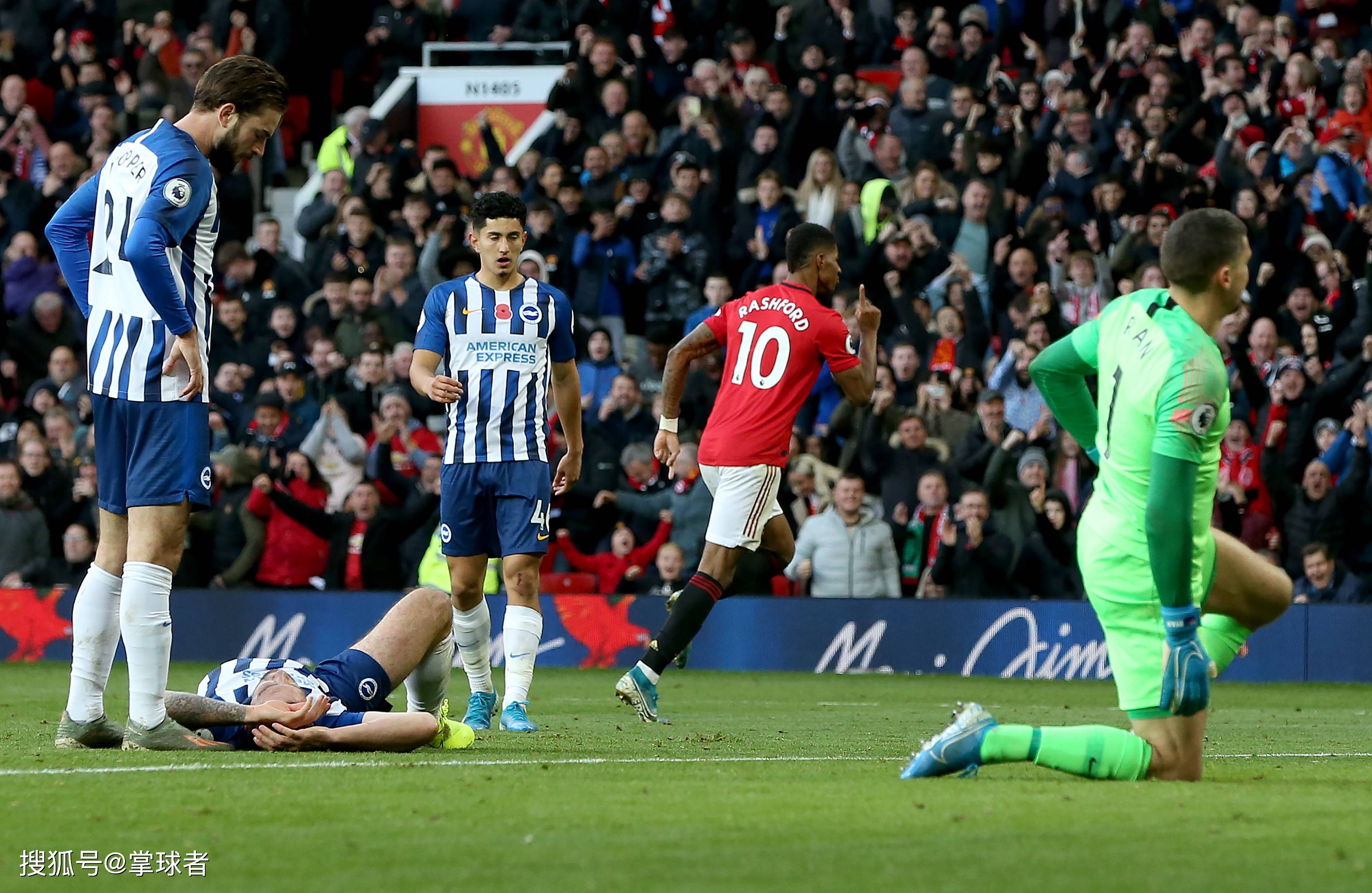 被誉为羽毛 被誉为羽毛